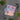 Moroccan Dream Neck Gaiter -