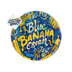 Blue Banana Cream Circle Holo Mylar Sticker Packs