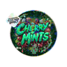 Cherry Mints Circle Holo Mylar Sticker Packs - SLAPSTA