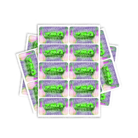 Zmo Rectangle / Pre-Roll Labels